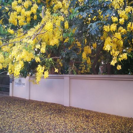 Tree Aloe Guest House Mokopane Exterior foto
