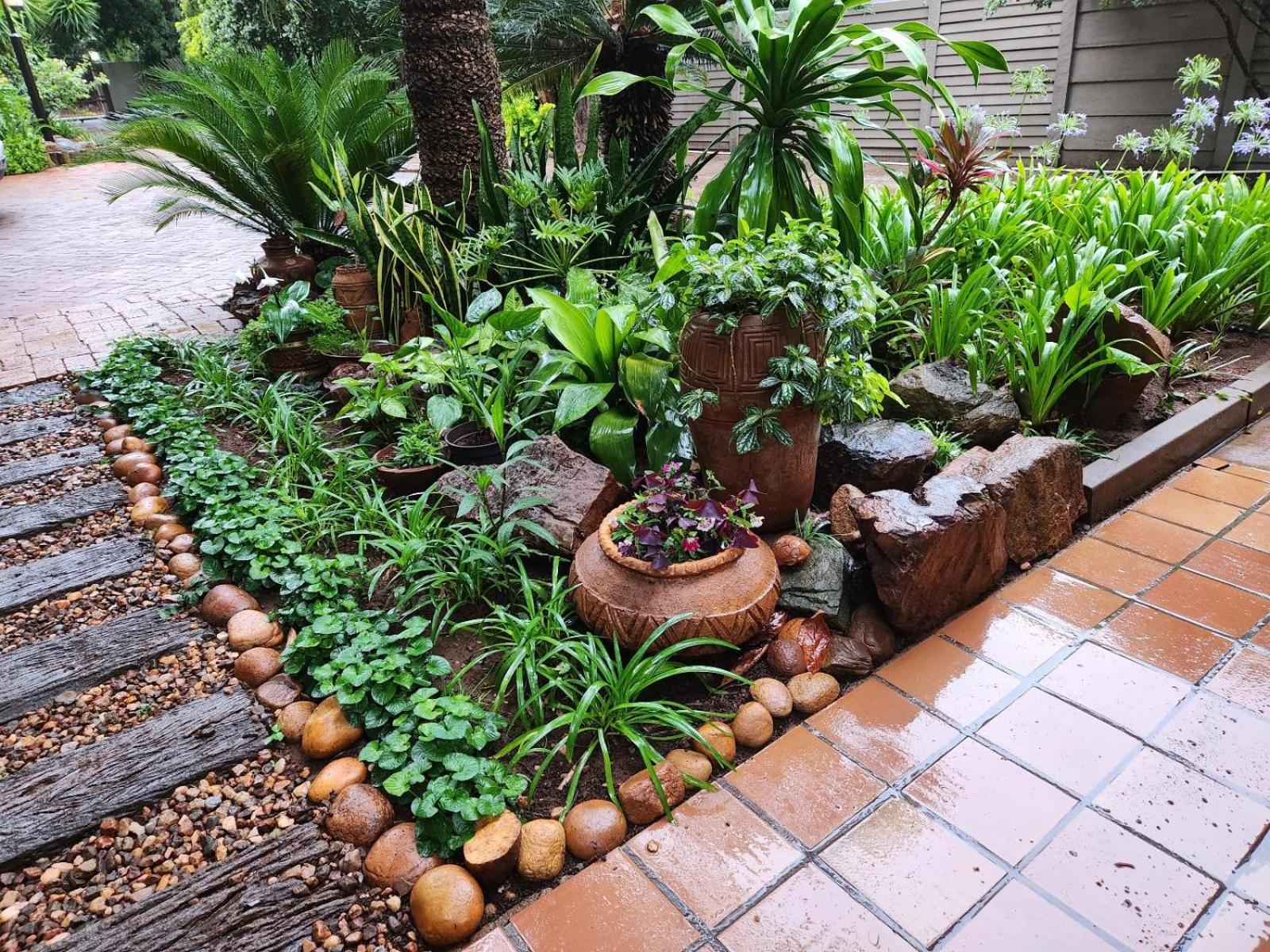 Tree Aloe Guest House Mokopane Exterior foto