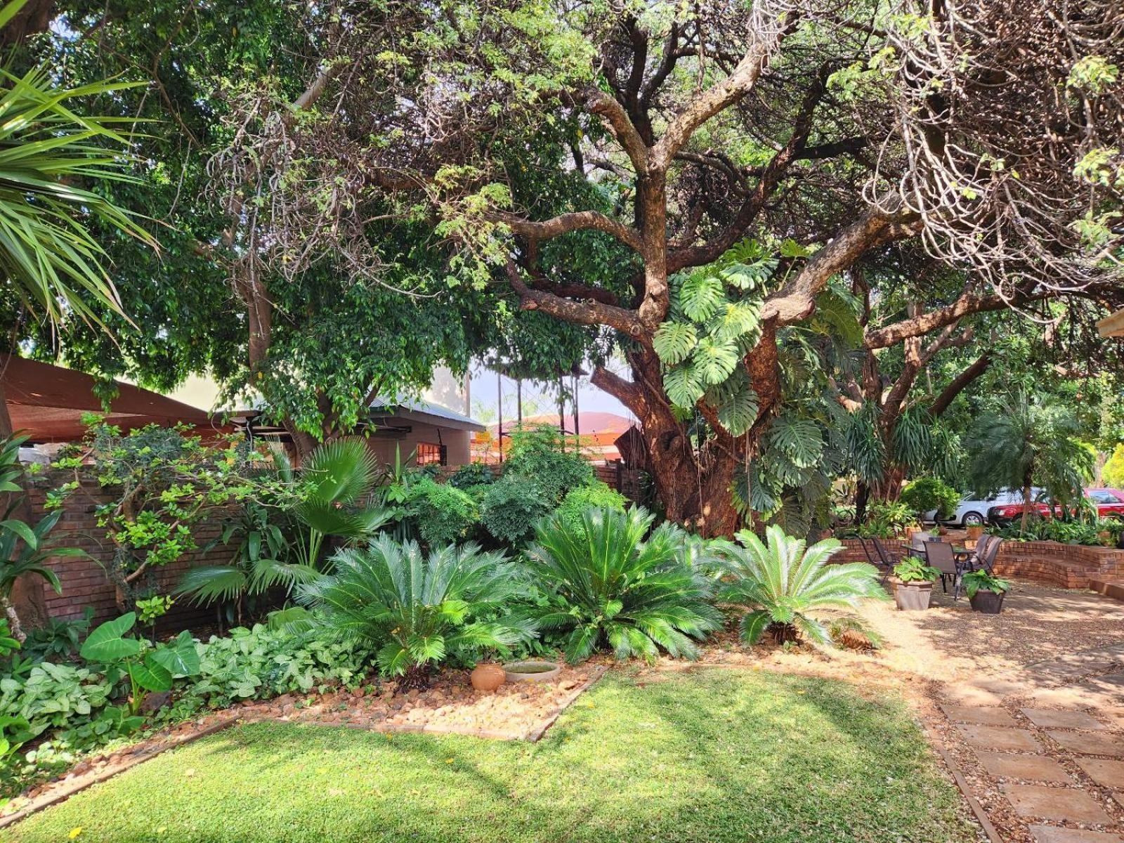 Tree Aloe Guest House Mokopane Exterior foto